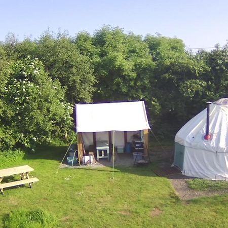 Mill Haven Place Glamping-Yurt 2 Haverfordwest Ngoại thất bức ảnh