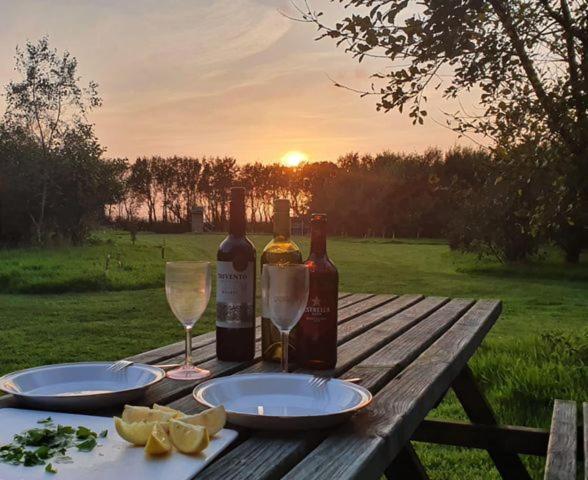Mill Haven Place Glamping-Yurt 2 Haverfordwest Ngoại thất bức ảnh