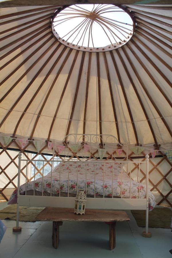 Mill Haven Place Glamping-Yurt 2 Haverfordwest Ngoại thất bức ảnh
